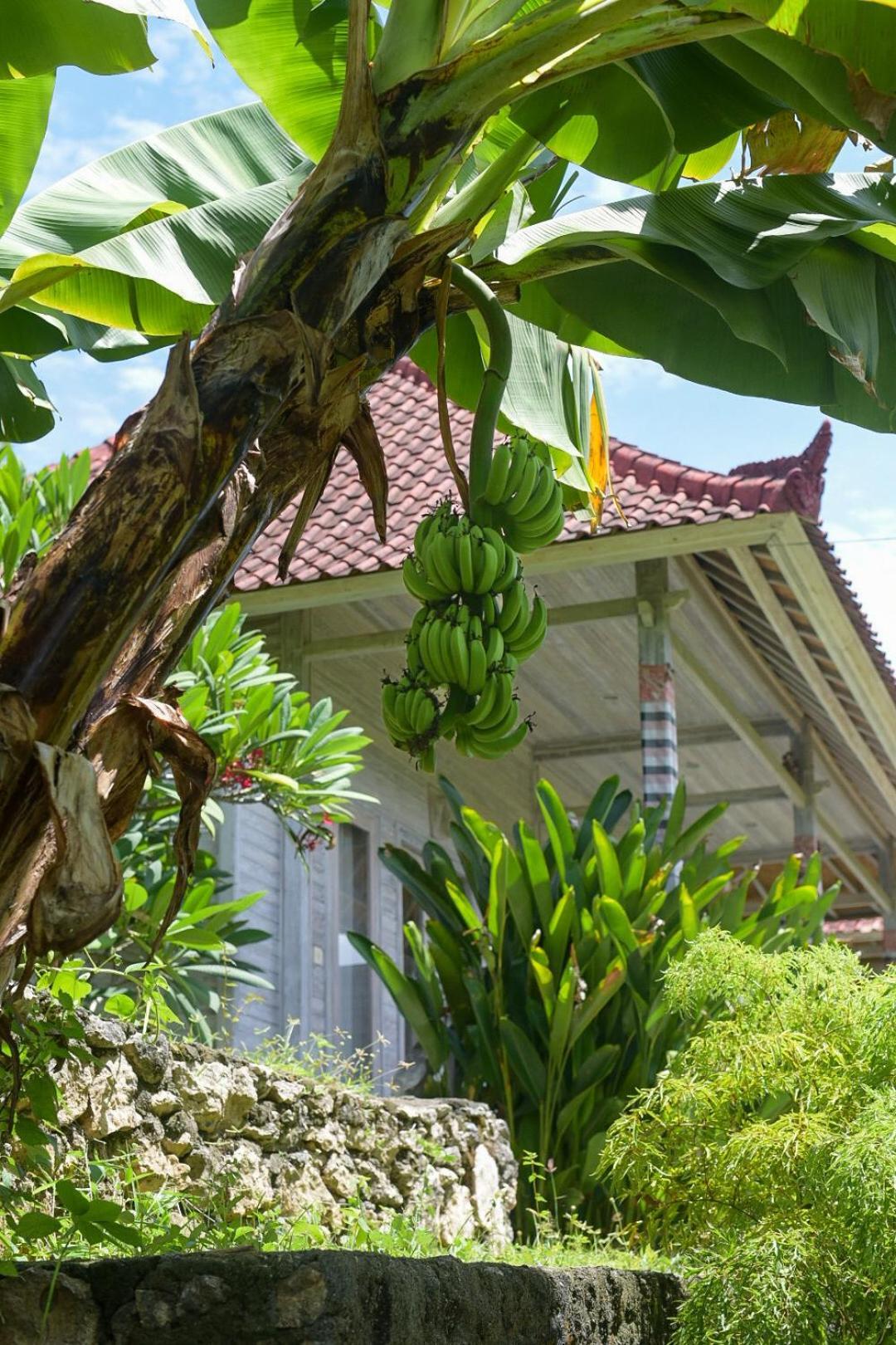 Mesari Hut Lembongan Ξενοδοχείο Εξωτερικό φωτογραφία